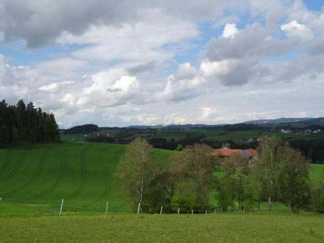 Desl'S Little Farm Apartment Waldburg Екстериор снимка